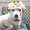Alana_Maloney - @alana_maloney - TikTok