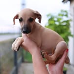 Alan Małyska - @alan_malyska341 - Instagram