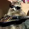 alanomaly_ - @alanomaly_ - TikTok