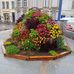 Alain Mangel - Facebook