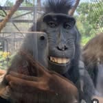ALAN T.M - @alanmanilal - Instagram