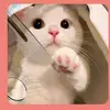 alan_hermanix1993 - @alan_ff85 - TikTok