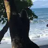 alanmann - @alanmann - TikTok