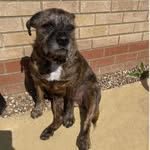 Alan Mansfield - @alan.mansfield.961 - Instagram