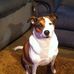 Alan Manwaring - Facebook