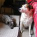Alan Manwaring - Facebook