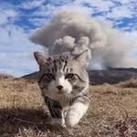 Alan Mao - @alan.mao.017 - Instagram