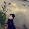 Alan Marchand - @alanmarchand0 - TikTok