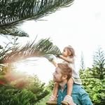 Alan Marchman - @alan.marchman - Instagram