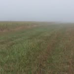 Alan Markowski - @alan.markowski.3150 - Instagram