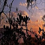 Alan Marlow - @prayingforrain48 - Instagram