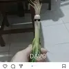 el_come_abuelas_3000 - @alanmarrero87 - TikTok