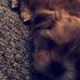 Alan Marrs - Facebook