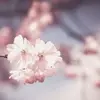 alanamarston - @alanamarston - TikTok