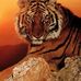 Alain Martel - Facebook