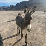 Alan Martel - @alanmartel6 - Instagram