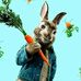 Alan Martias - Facebook