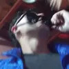 alanjalimascia - @alanjalimascia1721 - TikTok