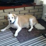 Alan Mason - @alan.mason - Instagram