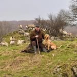 Alan Mason - @alanmason372 - Instagram