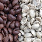 Alan Mason - @coffee_maymo - Instagram