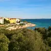 Alan Master - @stellaprotik - TikTok