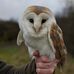 Alan Masterton - Facebook