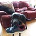 Allan Mathieson - Facebook