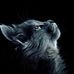 Alan Mattison - Facebook