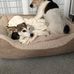 Alan Mcavoy - Facebook
