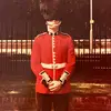 alanmcavoy - @alanmcavoy - TikTok