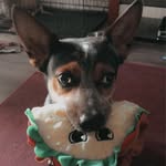 Alan McCall - @simplifiedd - Instagram