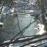 Alan McCall - @alan.mccall8688 - Instagram