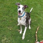 Alan McCurdy-Janusz - @brucethelurcher - Instagram
