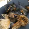 Allan Mcdaniel - @allanmcdaniel7 - TikTok
