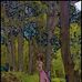 Allen Mcdaniel - Facebook