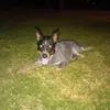Allan McEwen - @allan.mcewen - TikTok