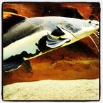 Alan Mcgill - @alan.mcgill - Instagram