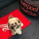 Alan McGill - @alan.mcgill.38 - Instagram