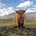 Alan McGregor - Facebook