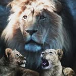 Alan McGregor - @freebs33 - Instagram