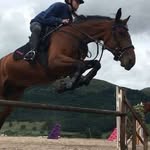 Alan Mcgregor - @alan.mcgregor.33 - Instagram