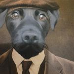Alan McIlroy - @alan.mc145 - Instagram