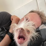 Alan McIntosh - @mcintosh_alan - Instagram