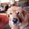 Alan G.E. McLean - @alan.g.e..mclean - TikTok