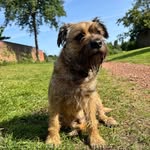 Alan McLean - @alanmclean8775 - Instagram