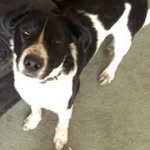 Alan Mclean - @mclean6911 - Instagram