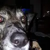 alanmclean06 - @alanmclean06 - TikTok