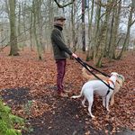 Alan McMahon - @alzo_m - Instagram