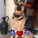 Alan McMurtry - @alan.mcmurtry.737 - Instagram